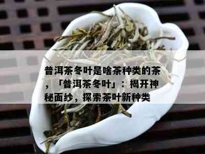 普洱茶冬叶是啥茶种类的茶，「普洱茶冬叶」：揭开神秘面纱，探索茶叶新种类