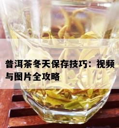 普洱茶冬天保存技巧：视频与图片全攻略