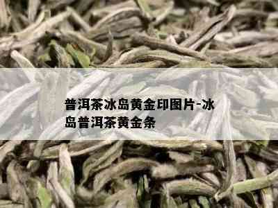 普洱茶冰岛黄金印图片-冰岛普洱茶黄金条