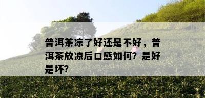 普洱茶凉了好还是不好，普洱茶放凉后口感如何？是好是坏？