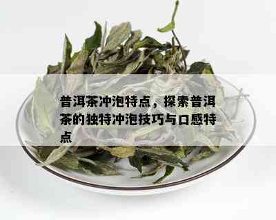 普洱茶冲泡特点，探索普洱茶的独特冲泡技巧与口感特点