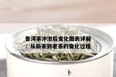 普洱茶冲泡后变化图表详解：从新茶到老茶的变化过程