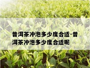 普洱茶冲泡多少度合适-普洱茶冲泡多少度合适呢