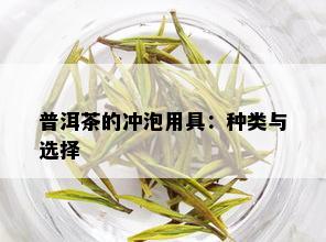 普洱茶的冲泡用具：种类与选择