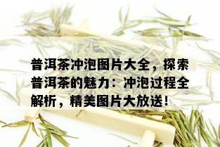 普洱茶冲泡图片大全，探索普洱茶的魅力：冲泡过程全解析，精美图片大放送！