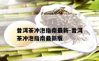 普洱茶冲泡指南最新-普洱茶冲泡指南最新版