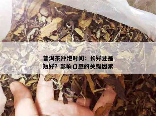 普洱茶冲泡时间：长好还是短好？影响口感的关键因素