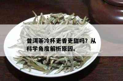 普洱茶冷杯更香更甜吗？从科学角度解析原因。