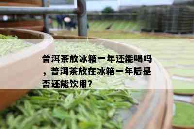 普洱茶放冰箱一年还能喝吗，普洱茶放在冰箱一年后是否还能饮用？