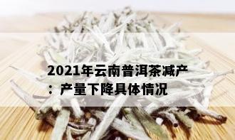 2021年云南普洱茶减产：产量下降具体情况