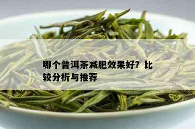 哪个普洱茶减肥效果好？比较分析与推荐