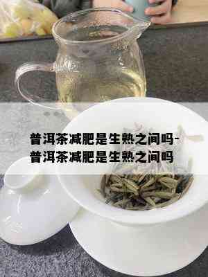 普洱茶减肥是生熟之间吗-普洱茶减肥是生熟之间吗