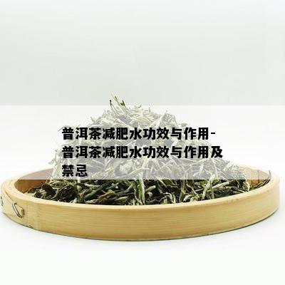 普洱茶减肥水功效与作用-普洱茶减肥水功效与作用及禁忌