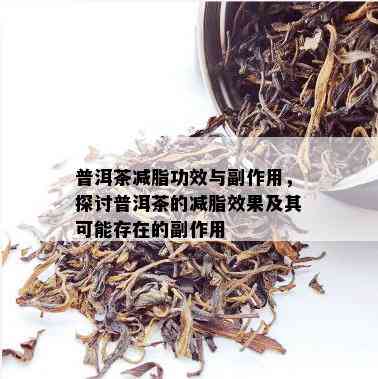 普洱茶减脂功效与副作用，探讨普洱茶的减脂效果及其可能存在的副作用