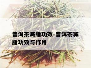 普洱茶减脂功效-普洱茶减脂功效与作用