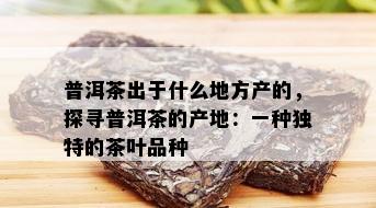 普洱茶出于什么地方产的，探寻普洱茶的产地：一种独特的茶叶品种