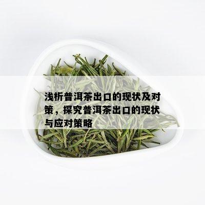 浅析普洱茶出口的现状及对策，探究普洱茶出口的现状与应对策略