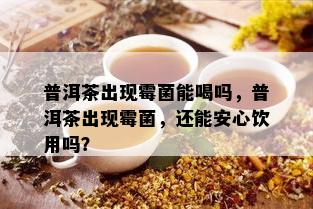 普洱茶出现霉菌能喝吗，普洱茶出现霉菌，还能安心饮用吗？