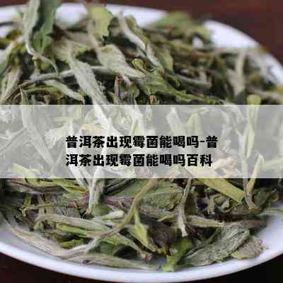 普洱茶出现霉菌能喝吗-普洱茶出现霉菌能喝吗百科