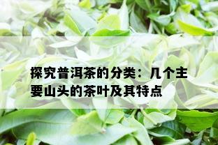 探究普洱茶的分类：几个主要山头的茶叶及其特点