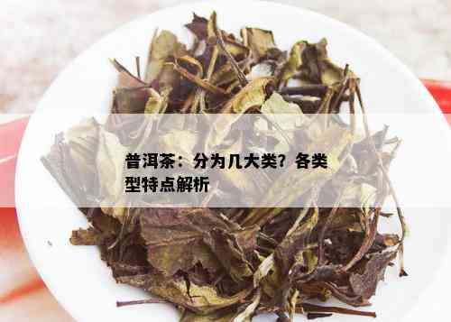 普洱茶：分为几大类？各类型特点解析