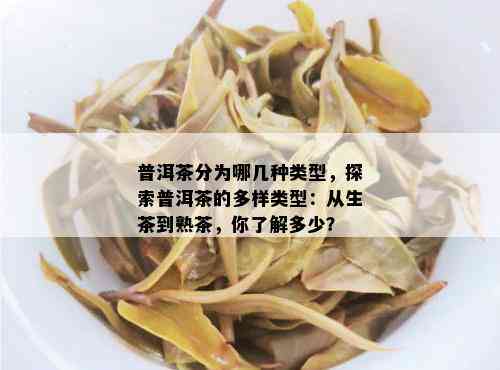 普洱茶分为哪几种类型，探索普洱茶的多样类型：从生茶到熟茶，你了解多少？