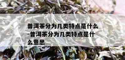 普洱茶分为几类特点是什么-普洱茶分为几类特点是什么意思