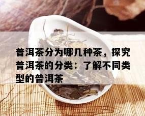 普洱茶分为哪几种茶，探究普洱茶的分类：了解不同类型的普洱茶