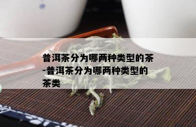 普洱茶分为哪两种类型的茶-普洱茶分为哪两种类型的茶类