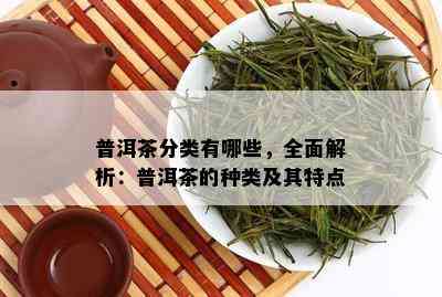 普洱茶分类有哪些，全面解析：普洱茶的种类及其特点