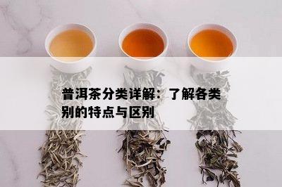 普洱茶分类详解：了解各类别的特点与区别