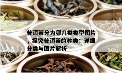 普洱茶分为哪几类类型图片，探究普洱茶的种类：详细分类与图片解析
