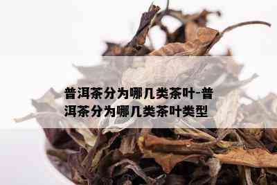 普洱茶分为哪几类茶叶-普洱茶分为哪几类茶叶类型