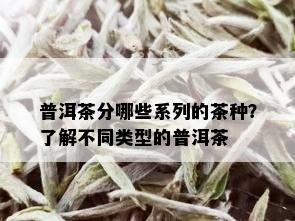 普洱茶分哪些系列的茶种？了解不同类型的普洱茶