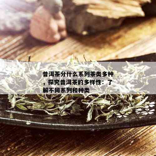 普洱茶分什么系列茶类多种，探究普洱茶的多样性：了解不同系列和种类