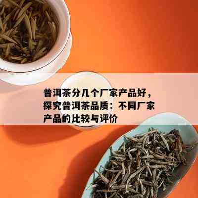 普洱茶分几个厂家产品好，探究普洱茶品质：不同厂家产品的比较与评价