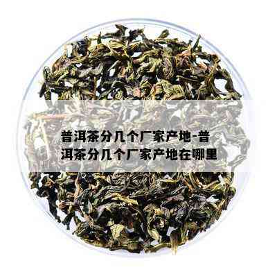 普洱茶分几个厂家产地-普洱茶分几个厂家产地在哪里