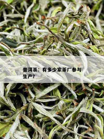 普洱茶：有多少家茶厂参与生产？