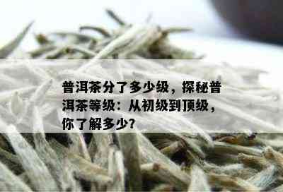 普洱茶分了多少级，探秘普洱茶等级：从初级到顶级，你了解多少？