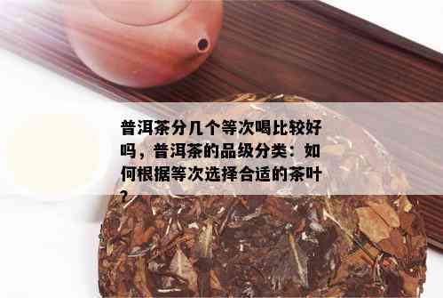 普洱茶分几个等次喝比较好吗，普洱茶的品级分类：如何根据等次选择合适的茶叶？