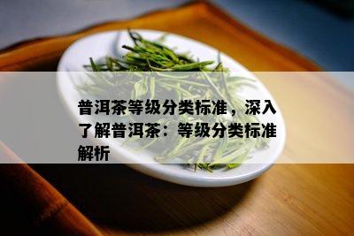 普洱茶等级分类标准，深入了解普洱茶：等级分类标准解析