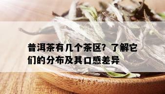 普洱茶有几个茶区？了解它们的分布及其口感差异