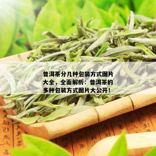 普洱茶分几种包装方式图片大全，全面解析：普洱茶的多种包装方式图片大公开！