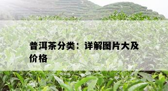 普洱茶分类：详解图片大及价格