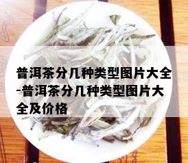 普洱茶分几种类型图片大全-普洱茶分几种类型图片大全及价格