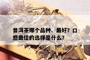 普洱茶哪个品种、更好？口感更佳的选择是什么？