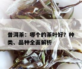 普洱茶：哪个的茶叶好？种类、品种全面解析