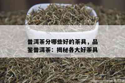 普洱茶分哪些好的茶具，品鉴普洱茶：揭秘各大好茶具