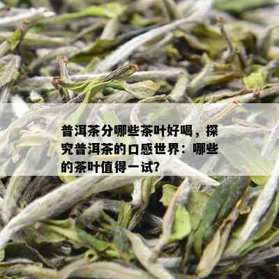 普洱茶分哪些茶叶好喝，探究普洱茶的口感世界：哪些的茶叶值得一试？