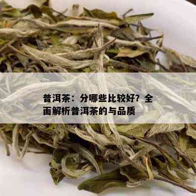 普洱茶：分哪些比较好？全面解析普洱茶的与品质